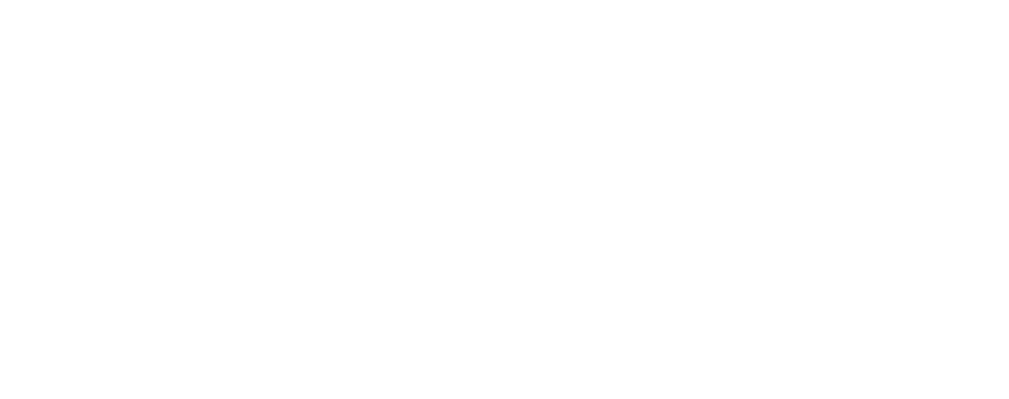 Centanus | Beratung & Coaching
